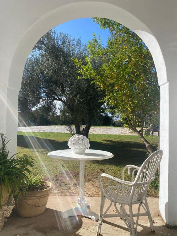 Lella Zohra, Studio Avec Piscine A Sidi Bou Said Bed & Breakfast Exterior photo