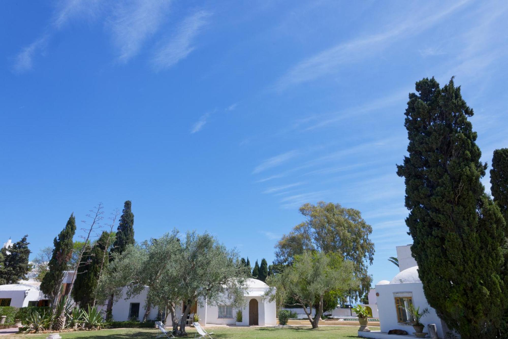 Lella Zohra, Studio Avec Piscine A Sidi Bou Said Bed & Breakfast Exterior photo